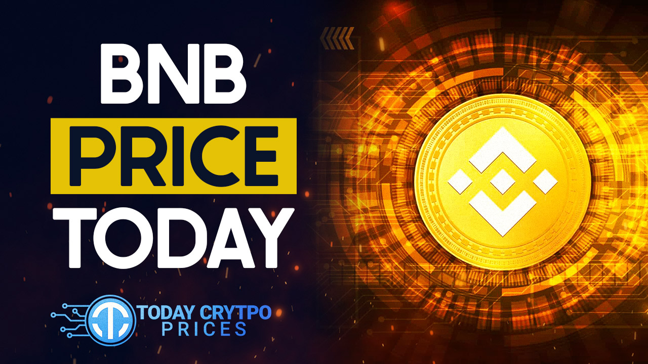 BNB Price Today, BNB Market Cap, BNB Price Index and Live Chart